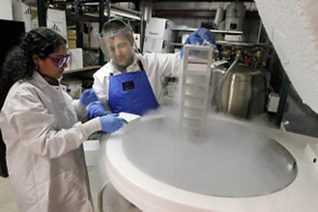 液氮罐的使用和保養